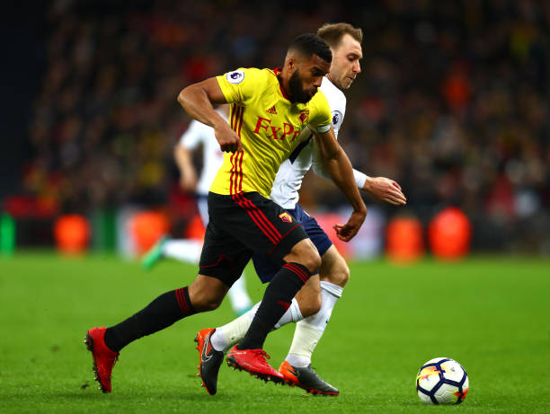 脑与远见 脑与远见