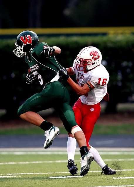 慧的角逐 慧的角逐