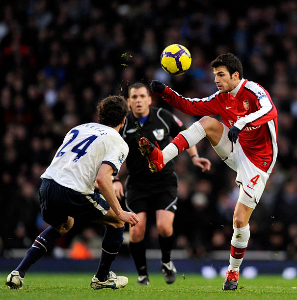 以其快速的 以其快速的