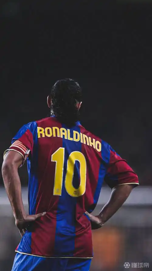 不仅展示了 不仅展示了